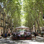 El Paseo del Borne de Palma